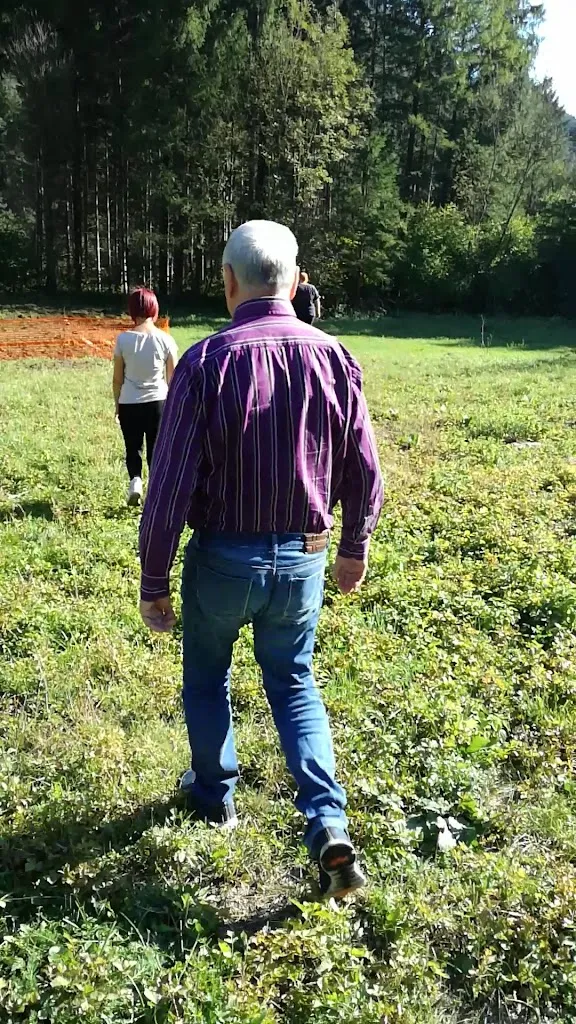 Azienda Agricola Sottomaleon restaurant in Tramonti di Sopra
