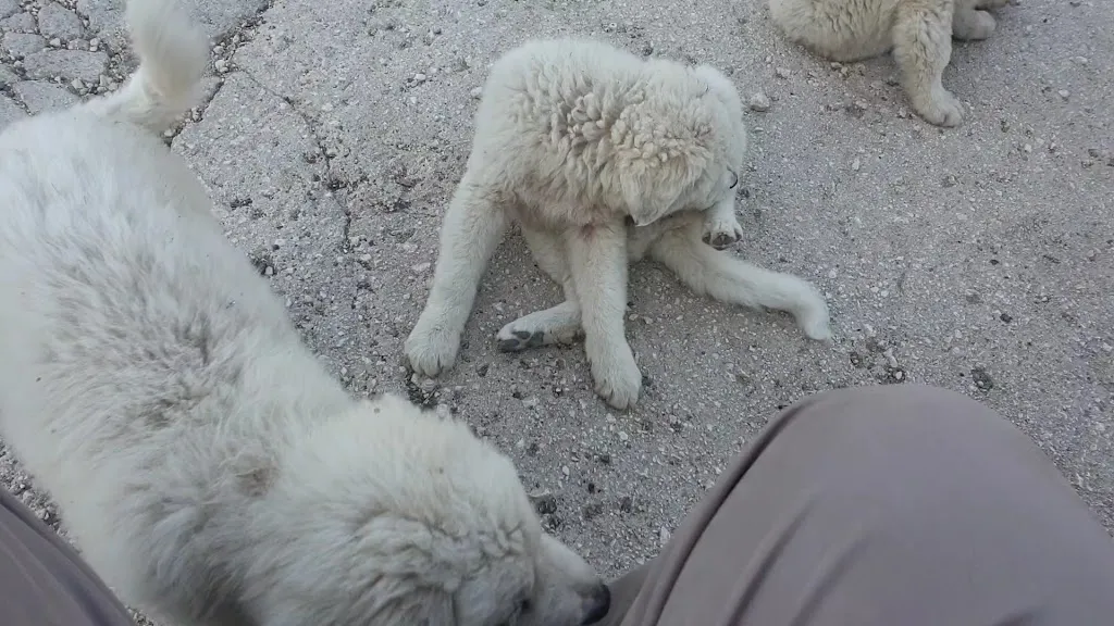 Bio Agriturismo Valle Scannese da Gregorio_Scanno_slider_image_2