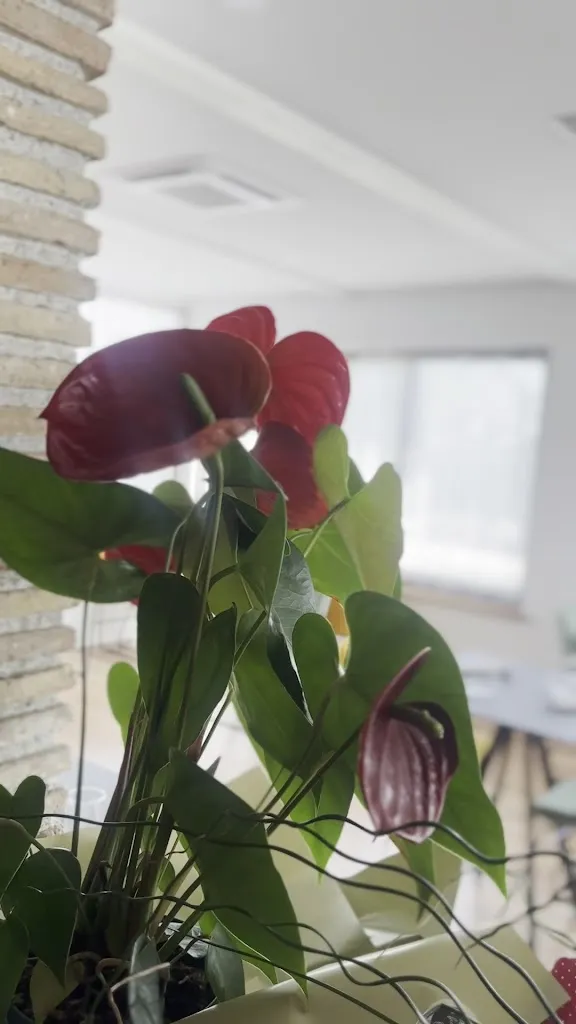 Agriturismo Borgo Cloz_Tarcento_slider_image_2