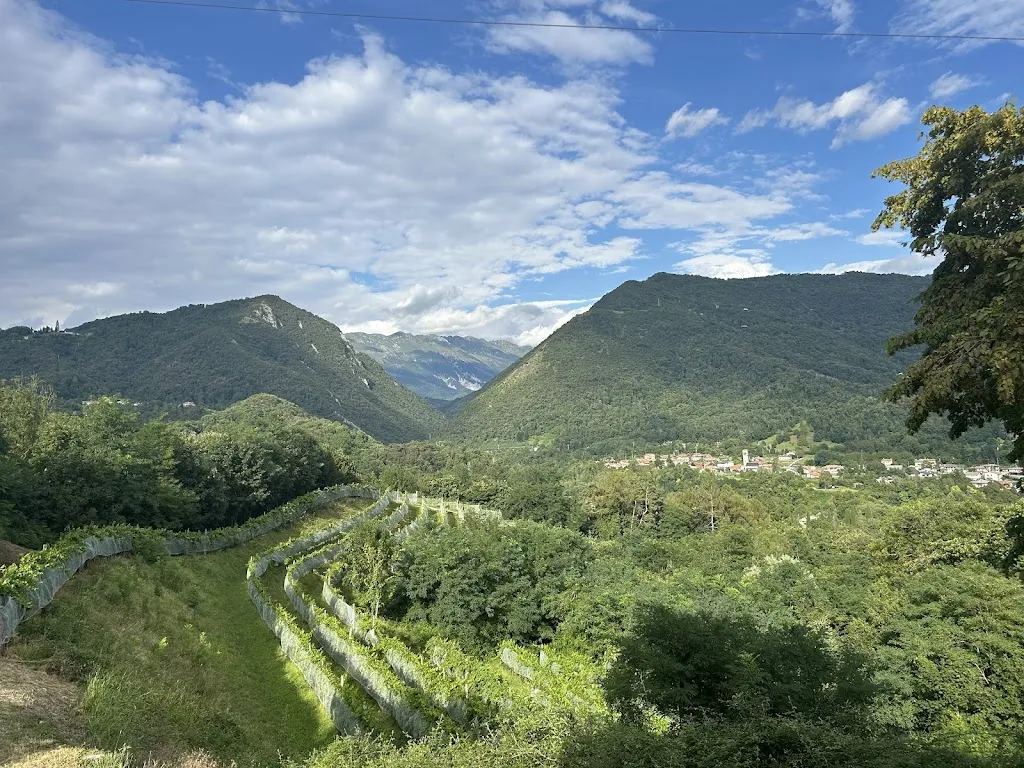 Markus Seidel_Ronc dal Lass_Tarcento_review