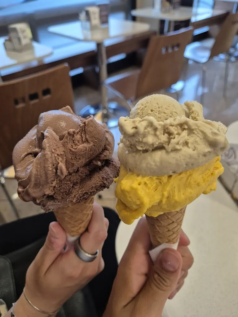 Admir Murguz_Gelo_Tarcento_review