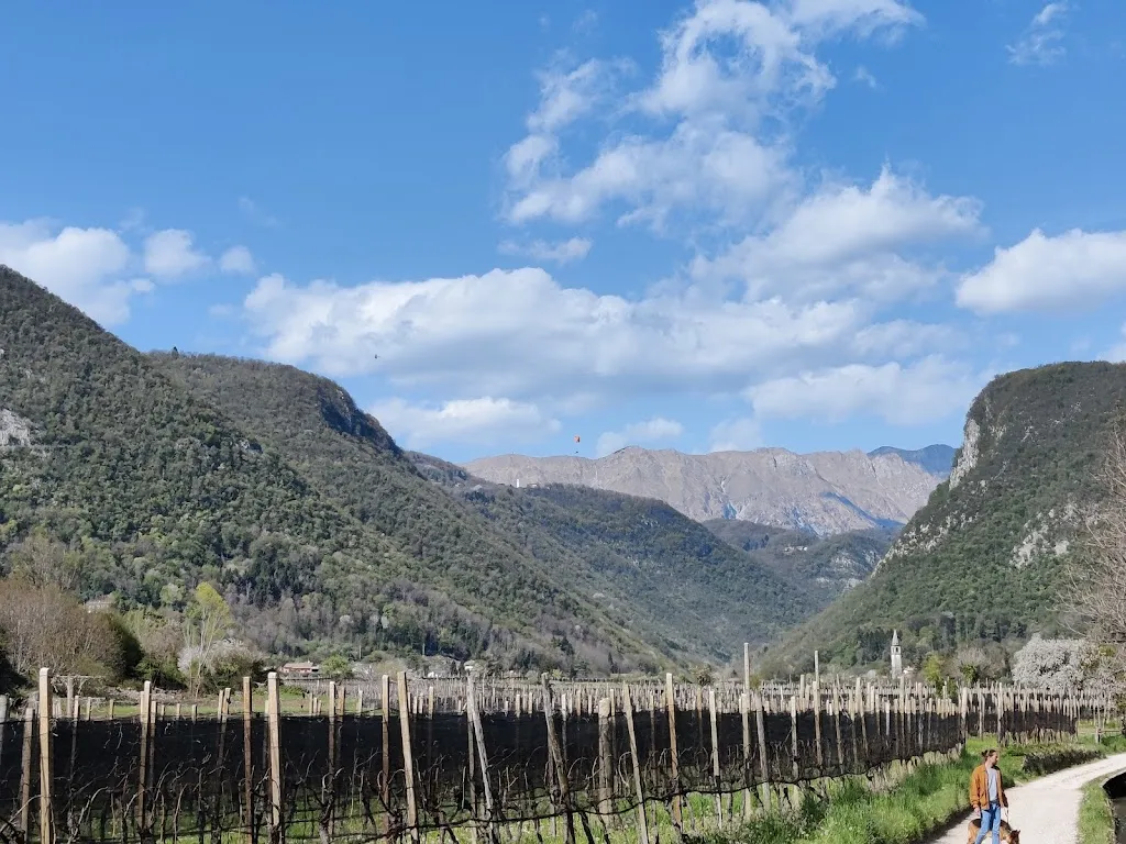 Franco Pecchio_Alla Trota del Cornappo_Tarcento_review