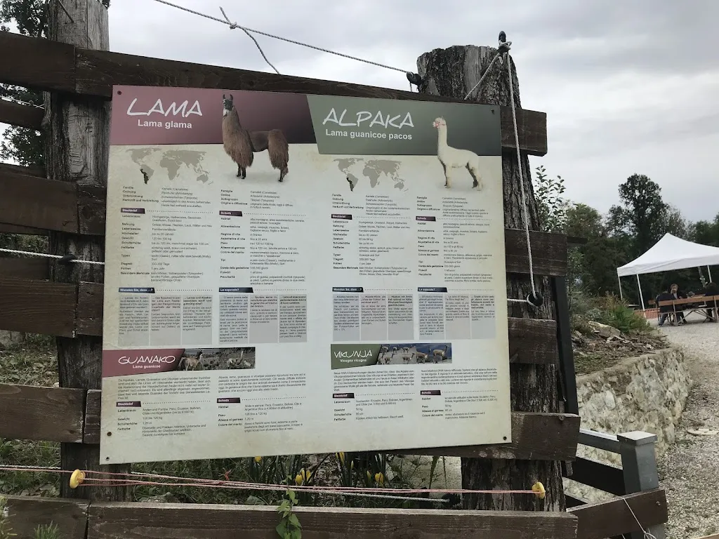 Menu_AZIENDA AGRICOLA ZALPA_Travesio_image_1