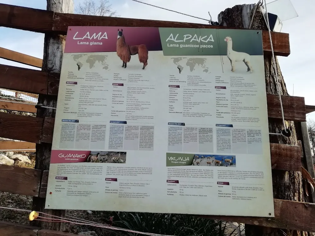 Menu_AZIENDA AGRICOLA ZALPA_Travesio_image_2