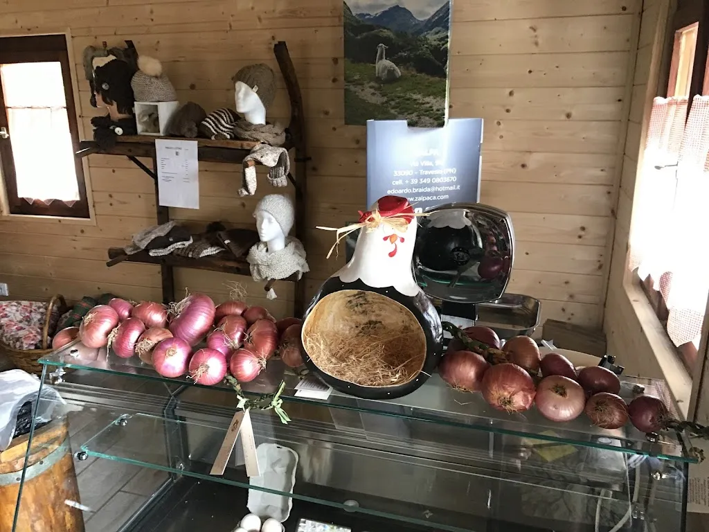 Menu_AZIENDA AGRICOLA ZALPA_Travesio_image_7