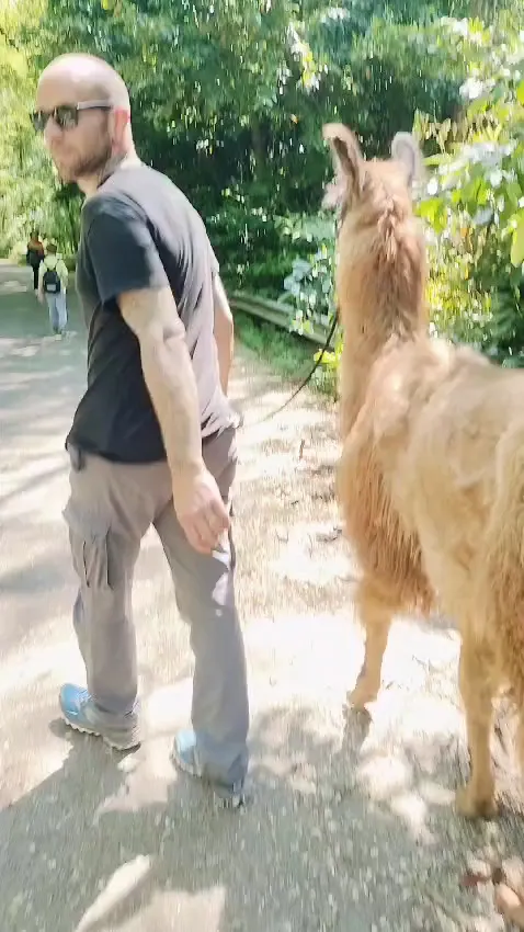 Fabio Celant_AZIENDA AGRICOLA ZALPA_Travesio_review