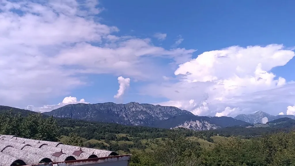 AZIENDA AGRICOLA ZALPA_Travesio_slider_image_2