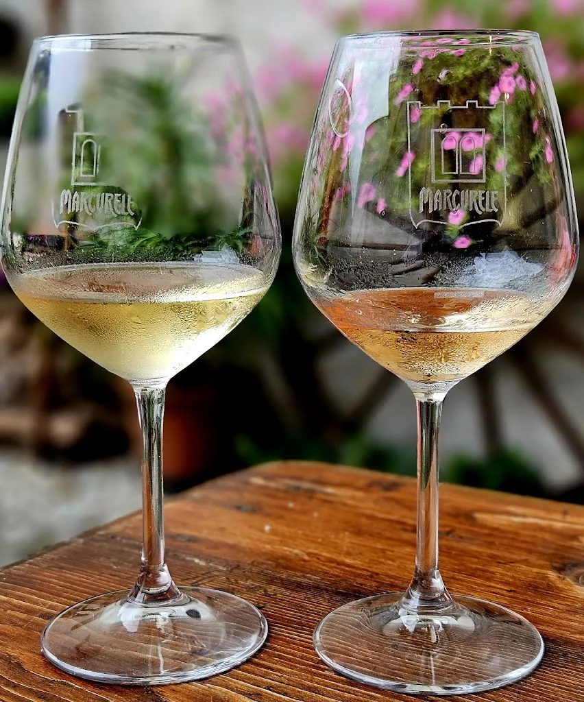 Menu_Osteria Marcurele_Venzone_image_5