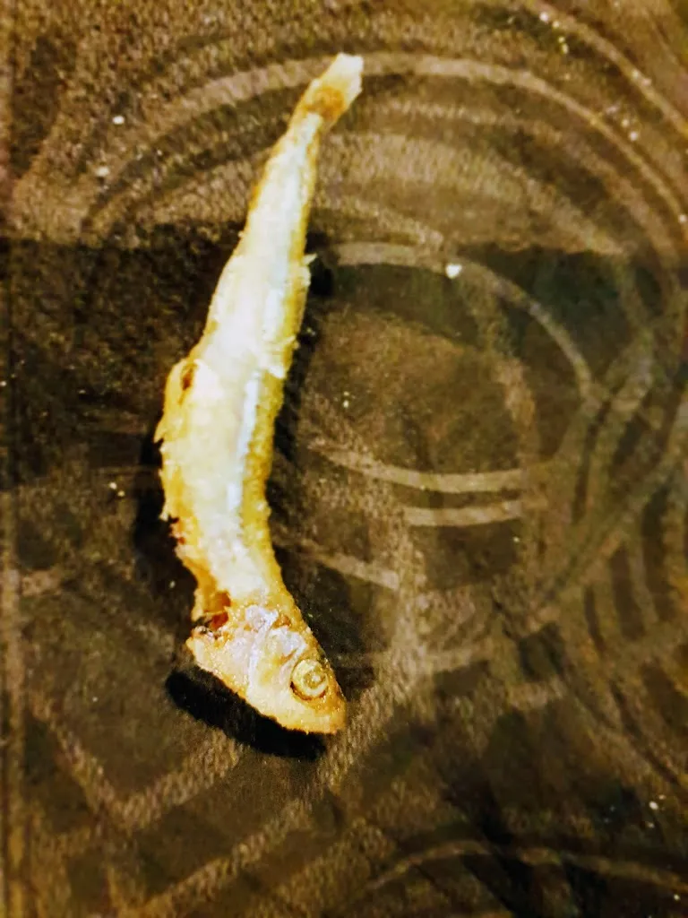 Menu_Trattoria Oasi del Pesce di Andriollo Rosanna_Villa Vicentina_image_8