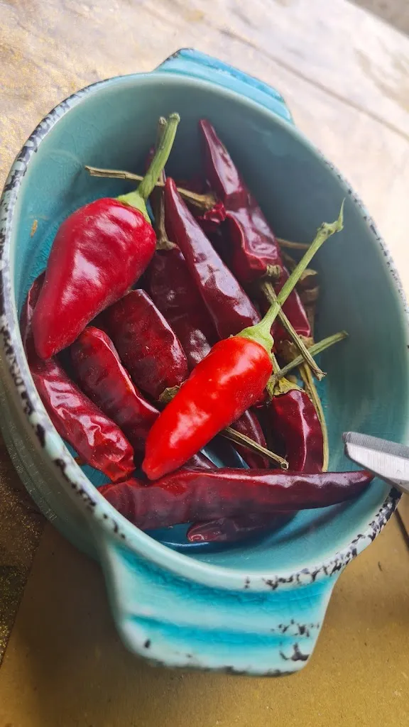 Menu_Chalet Del Sirente_Secinaro_image_9