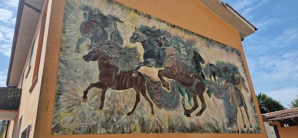 Klára Tóth-Varga_Villesse_Villesse_review