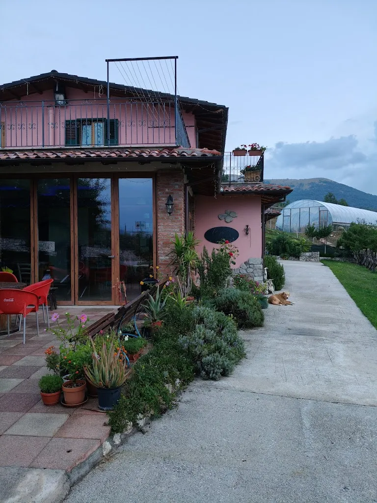 Alta Montagna Bio restaurant in Accumoli