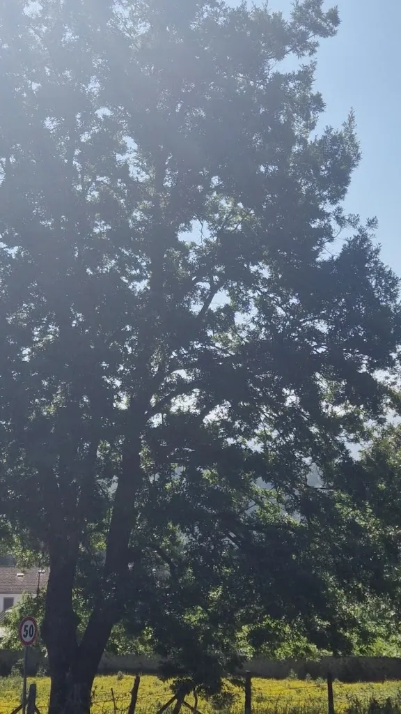 Trattoria Belvedere_Accumoli_slider_image_2