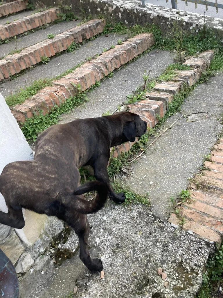 valeria domitilla luzi_Casale di Eliza Iordache_Acquafondata_review