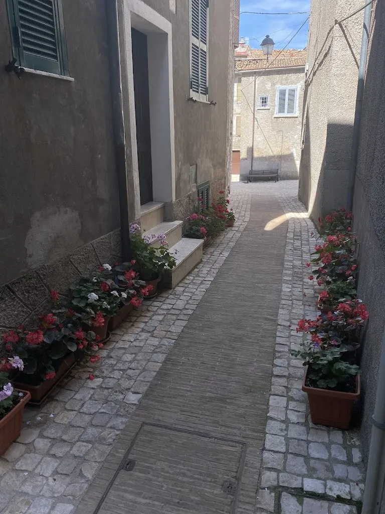 Chiara Bellasio_Le Colline Ciociare_Acuto_review