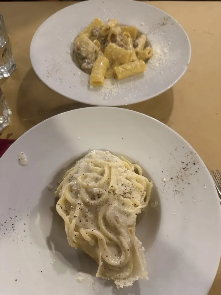 Chico Mendes BJJ_I Gladiatori_Acilia-Castel Fusano-Ostia Antica_review