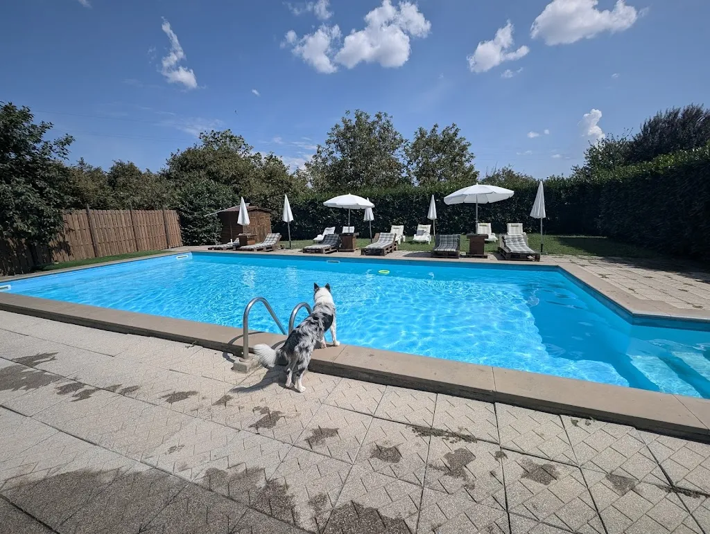 Alessandro Peticchia_Agriturismo Podernuovo Acquapendente_Acquapendente_recensione