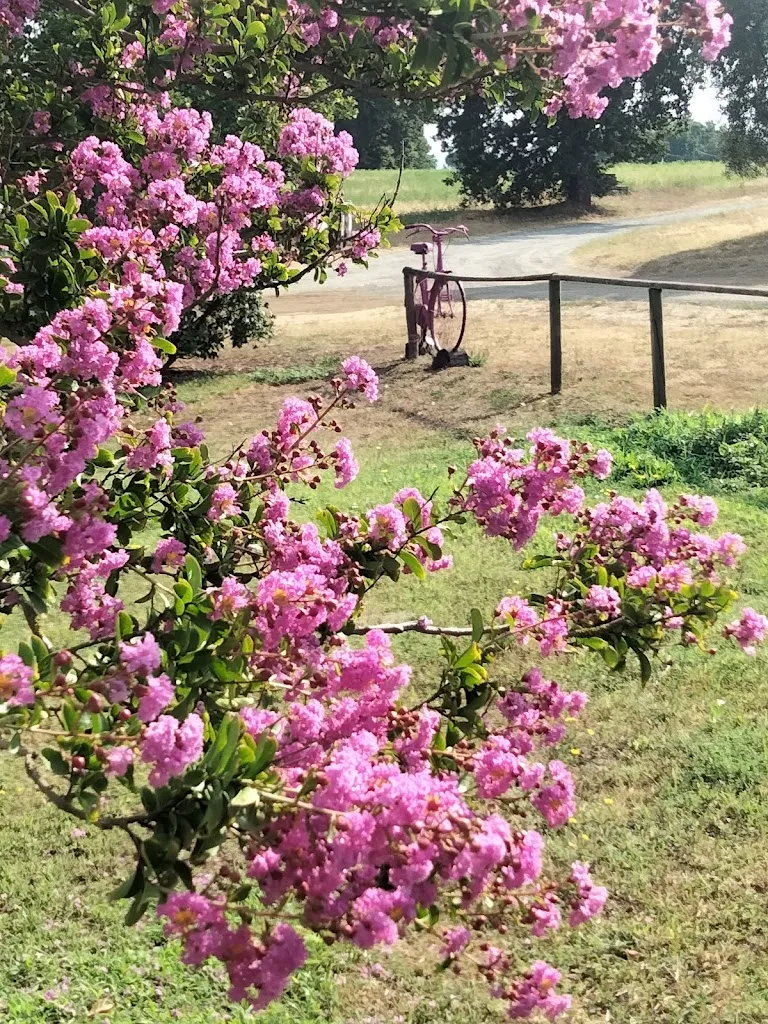 Letizia_Agriturismo Podernuovo Acquapendente_Acquapendente_recensione