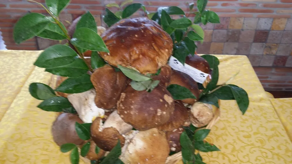 Menu_Ristorante Pizzeria L' ANTICA GRIGLIA_Alatri_image_7