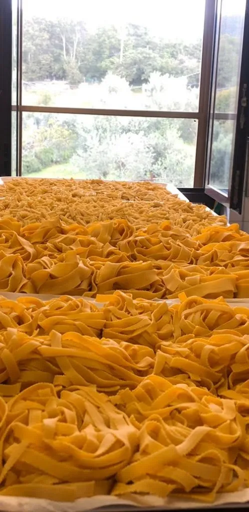 Menu_Trattoria La Fontanaccia_Allumiere_immagine_8