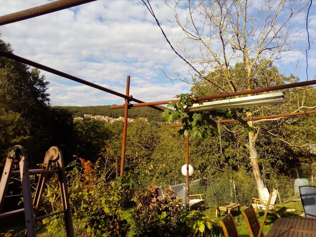 Luigi Maffei_Bar Pizzeria 2D_Allumiere_review