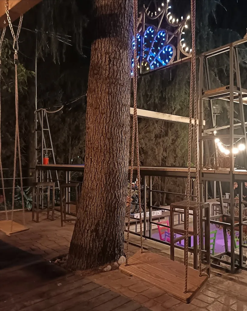 Pulci Lucia_Bottega 4.0_Albuccione_review