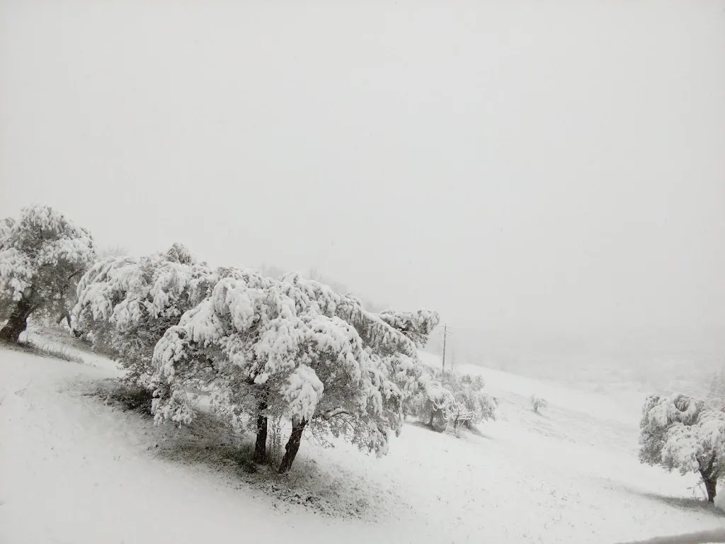 Rally Food_Anitrella-Chiaiamari_slider_image_1