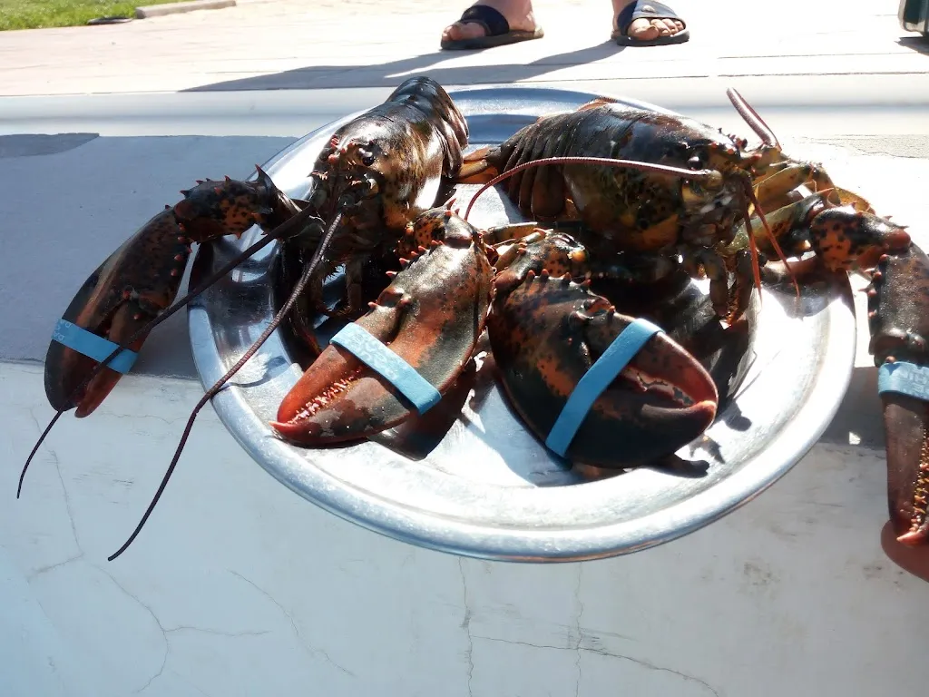 Menu_Ristorante Le Fontanelle_Amaseno_image_8