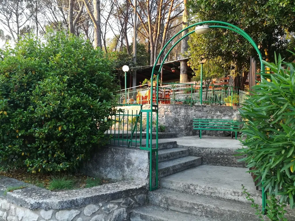 M G_Pizzeria La Pineta_Amaseno_review