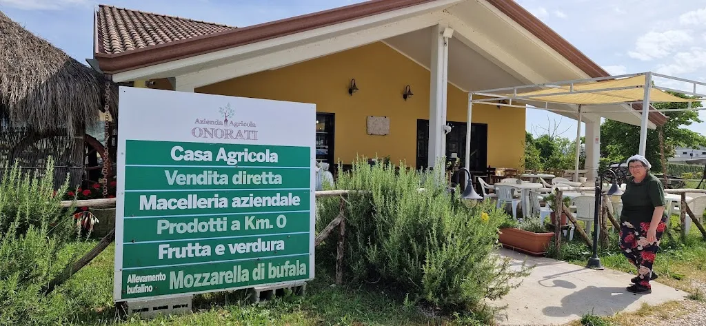 Gaetano Vitiello_Azienda agricola Onorati_Amaseno_review