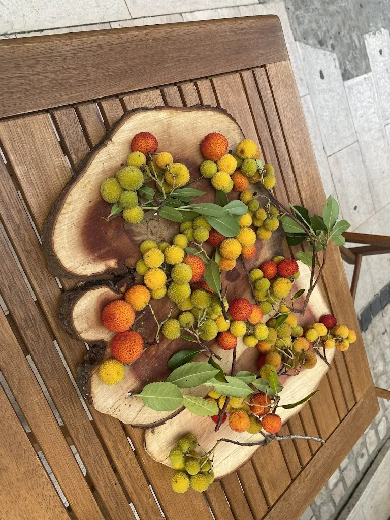 filippo pisanelli_Osteria La Portella_Amaseno_review