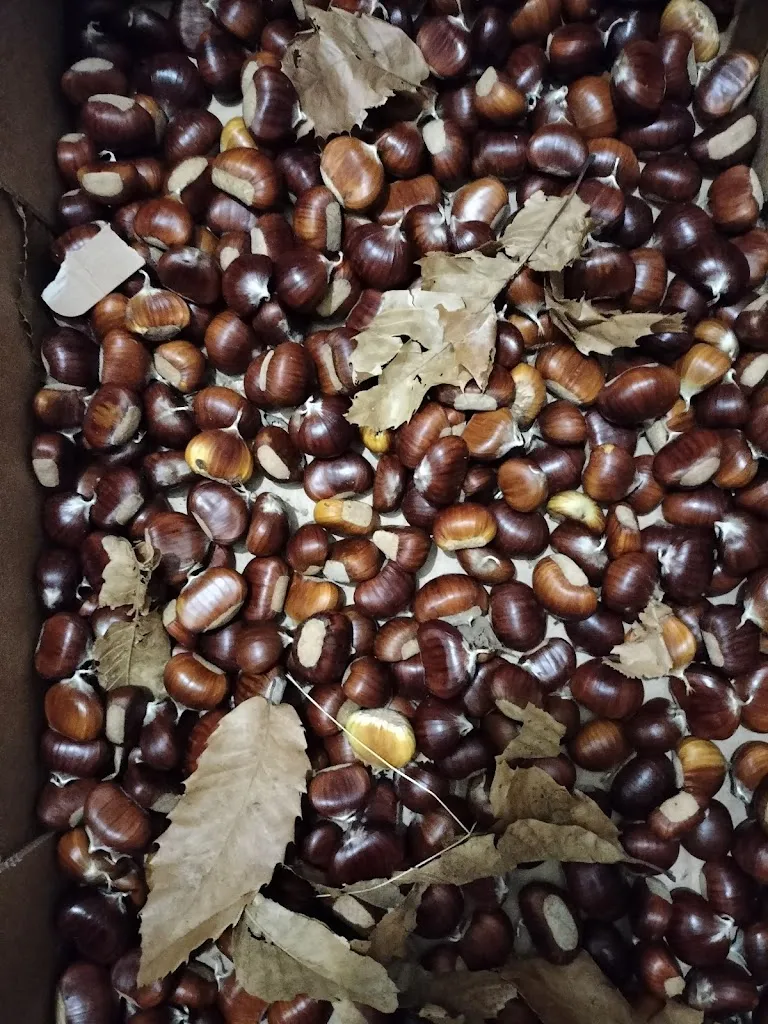 Menu_Mancini Anastasia_Arcinazzo Romano_image_2