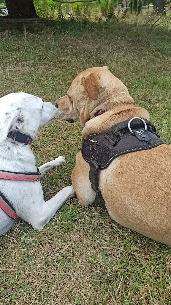 pietro campanile_Agriturismo Tra i Monti by Villetta Graziani_Arcinazzo Romano_Bewertung