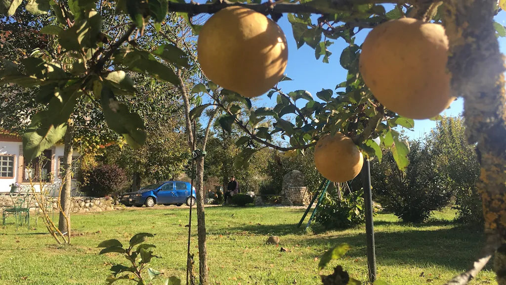 Agriturismo Tra i Monti by Villetta Graziani_Arcinazzo Romano_slider_image_3