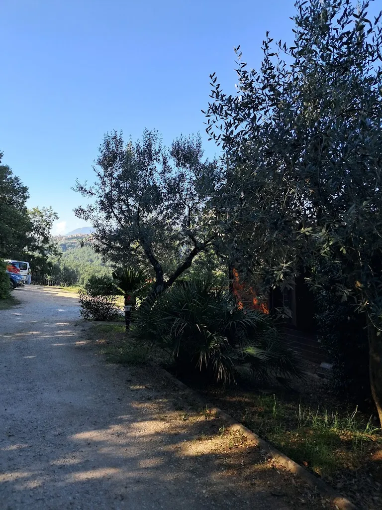 Ristorante Cisogna_Anagni_slider_image_2