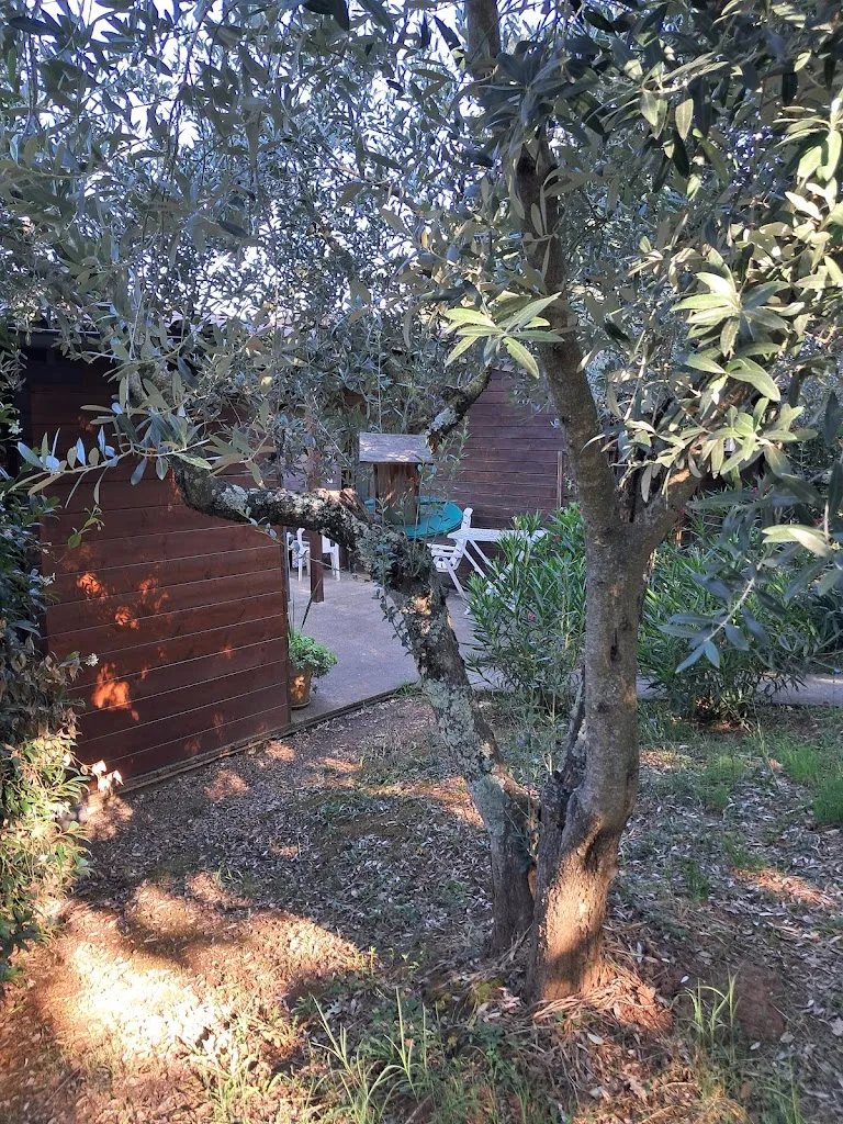 Ristorante Cisogna_Anagni_slider_image_3