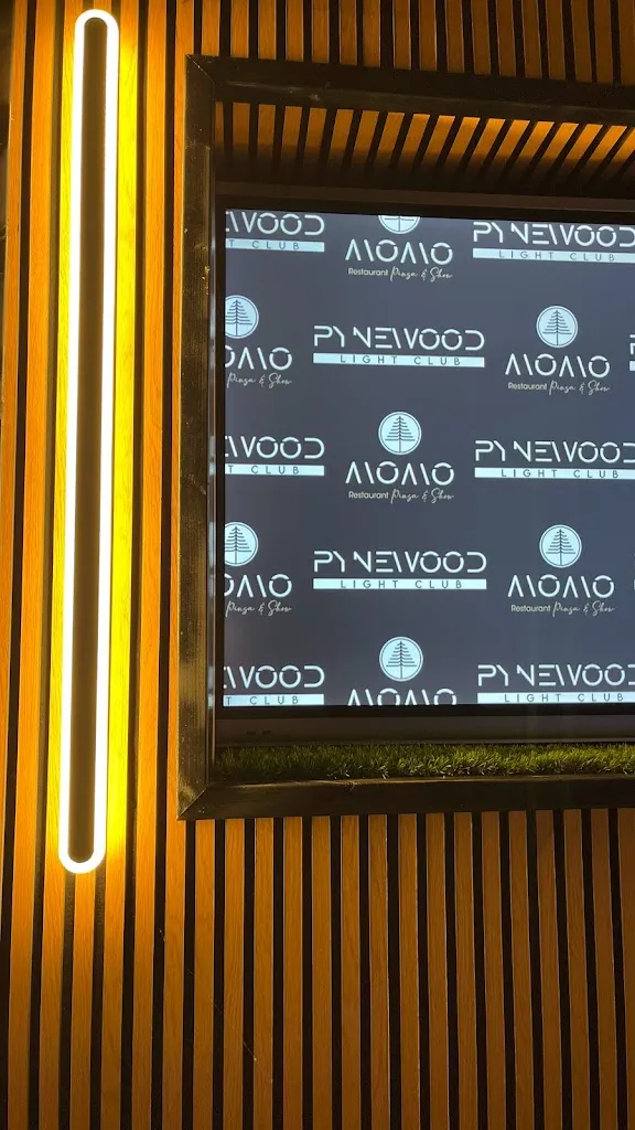 Menu_Momo Restaurant, Pinsa & Show_Aprilia_immagine_4