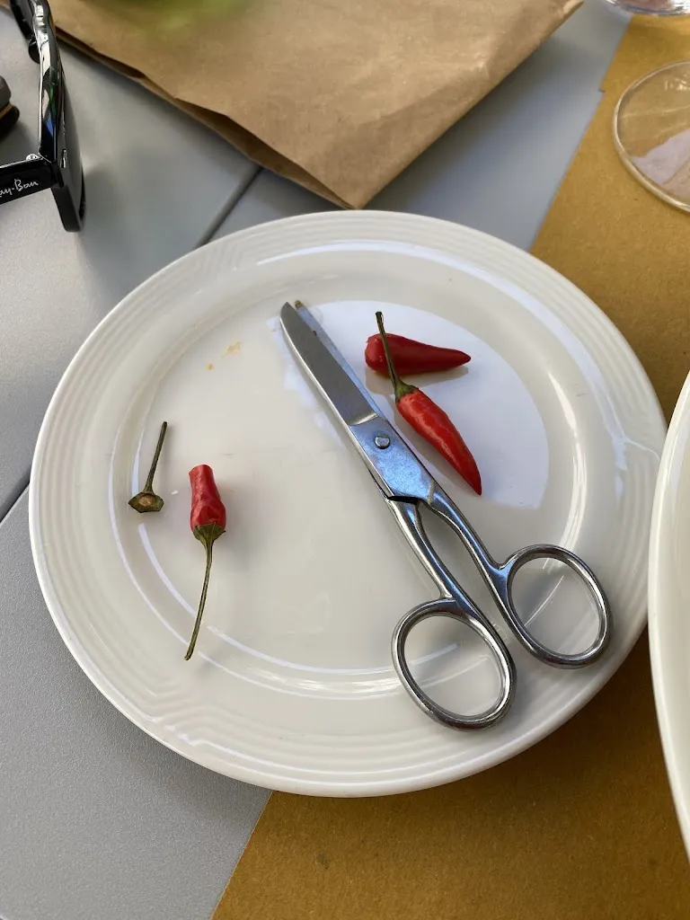 Menu_Enoteca Centrale Teramo_Teramo_image_9