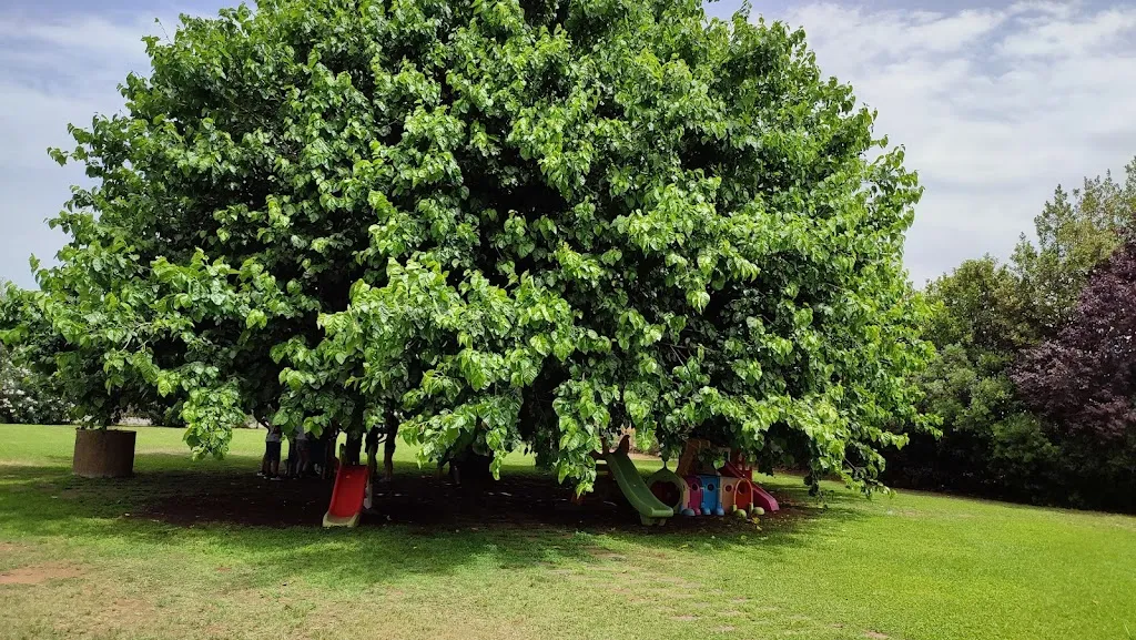 Pat_L’Antica Culla_Aprilia_review