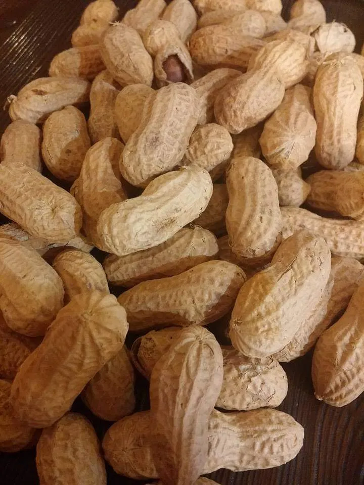 Menu_Old Wild West - Aprilia C.C. Aprilia2_Aprilia_image_8