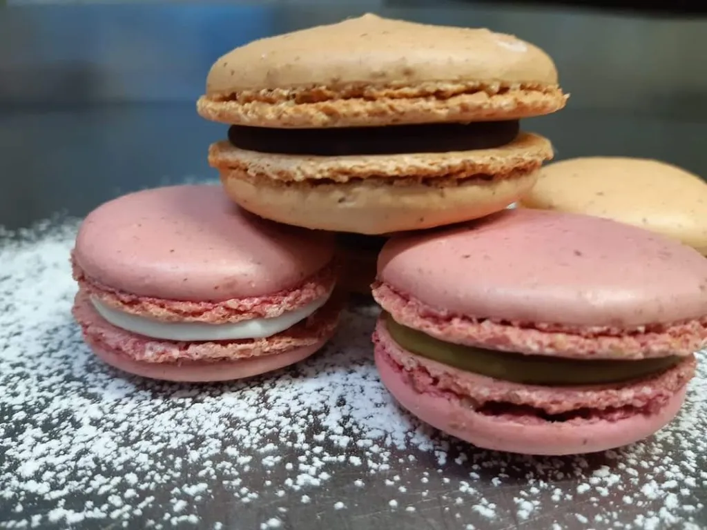 Menu_Bió, ristobar & shop_Aprilia_image_2