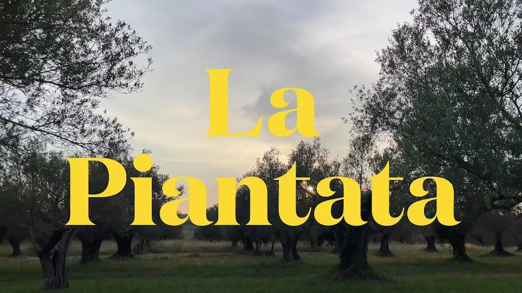 Agriturismo La Piantata_Arlena di Castro_slider_image_2