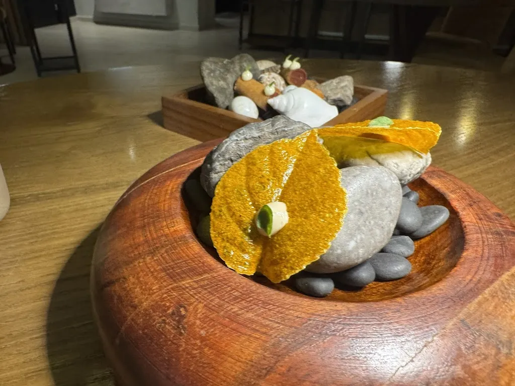 Sheroo Wadia_Sintesi Ristorante_Ariccia_review