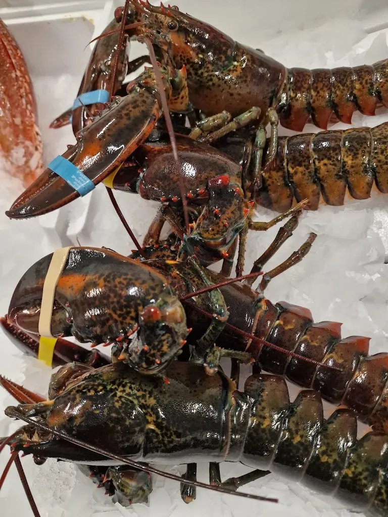 Ristorante Antares_Avezzano_slider_image_3