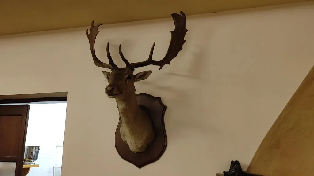 Ristorante Il Tartufo_Ascrea_slider_image_2