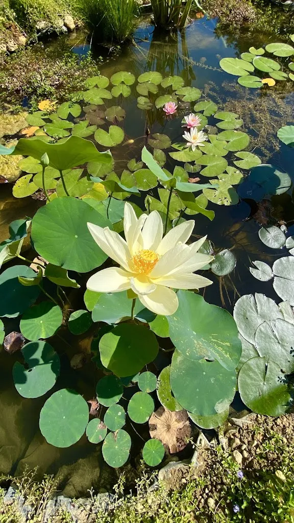 Fede_Dai Micini di casa - Fine Home Restaurant_Ascrea_review