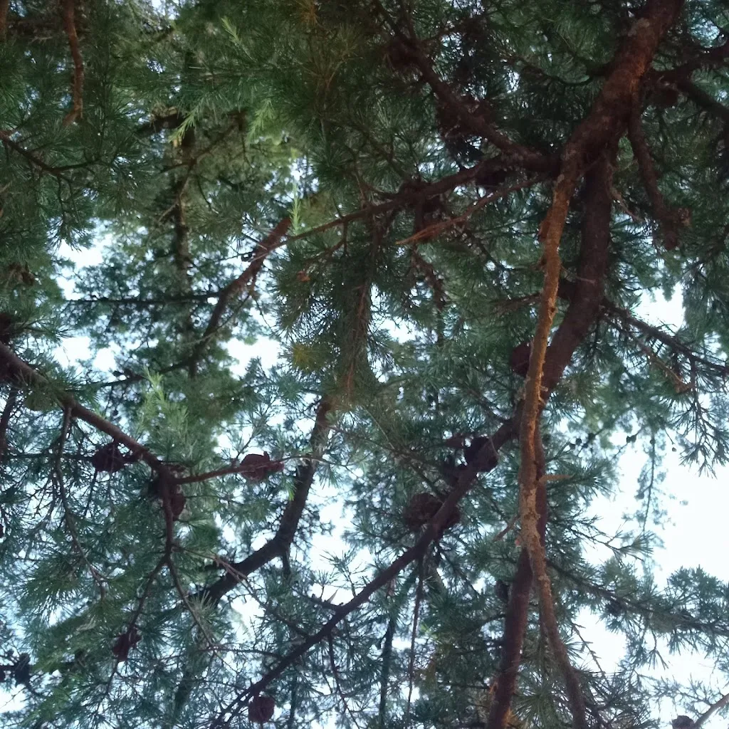 Sil Dir_Dai Micini di casa - Fine Home Restaurant_Ascrea_review