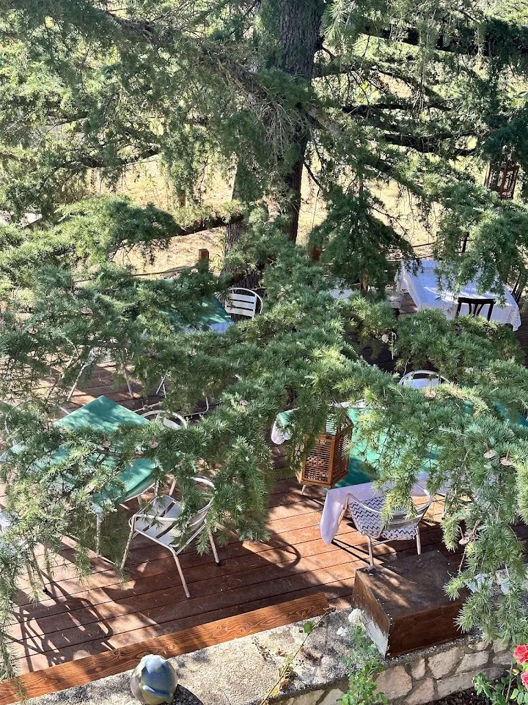 Dai Micini di casa - Fine Home Restaurant_Ascrea_slider_image_3