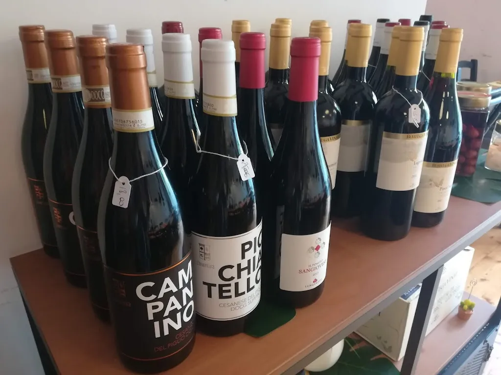 Menu_Più Casa Che bottega_Artena_image_1