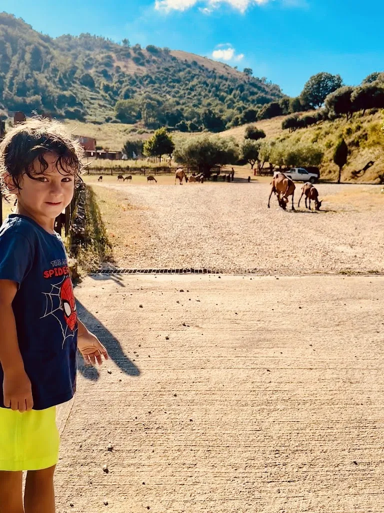 Elisa Partigiani_Agriturismo La Rocca dei Briganti - Artena_Artena_review